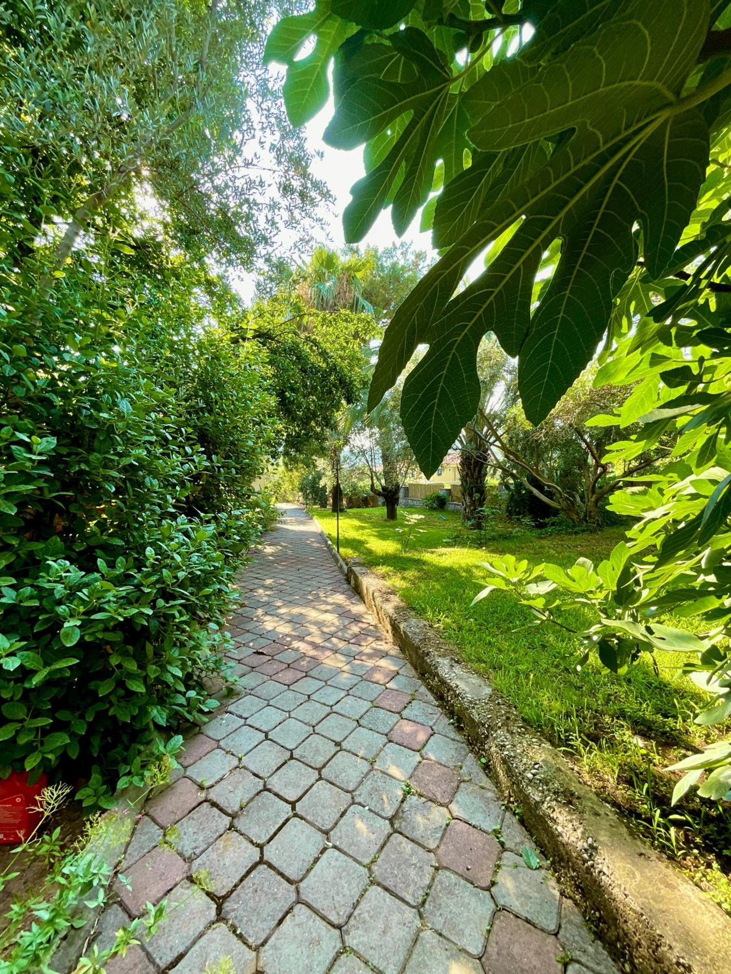 Gunes Boutique Otel Фетхие Экстерьер фото